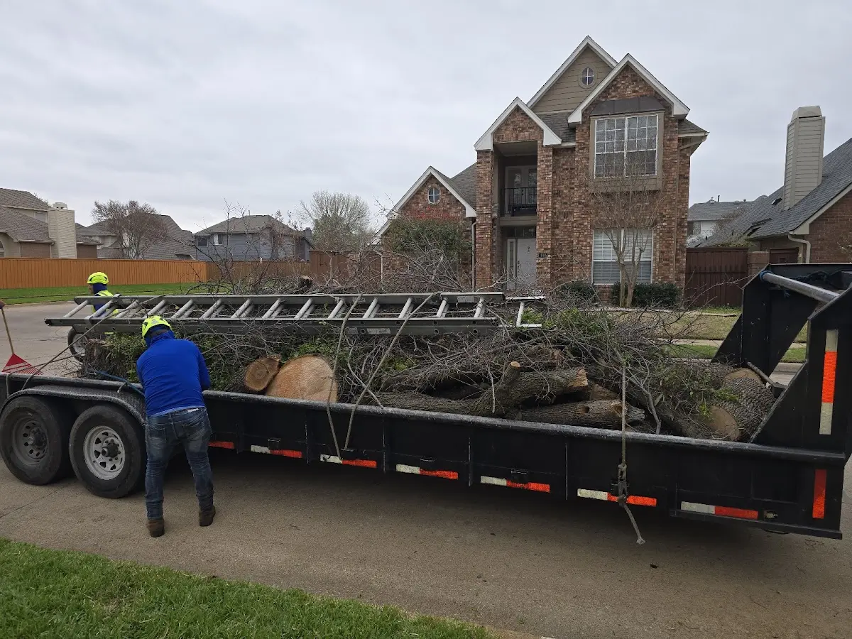 Expert Tree Removal with proper safety equipment in Center Tuftonboro